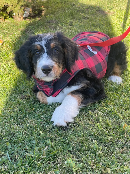 Matthew P. on Google